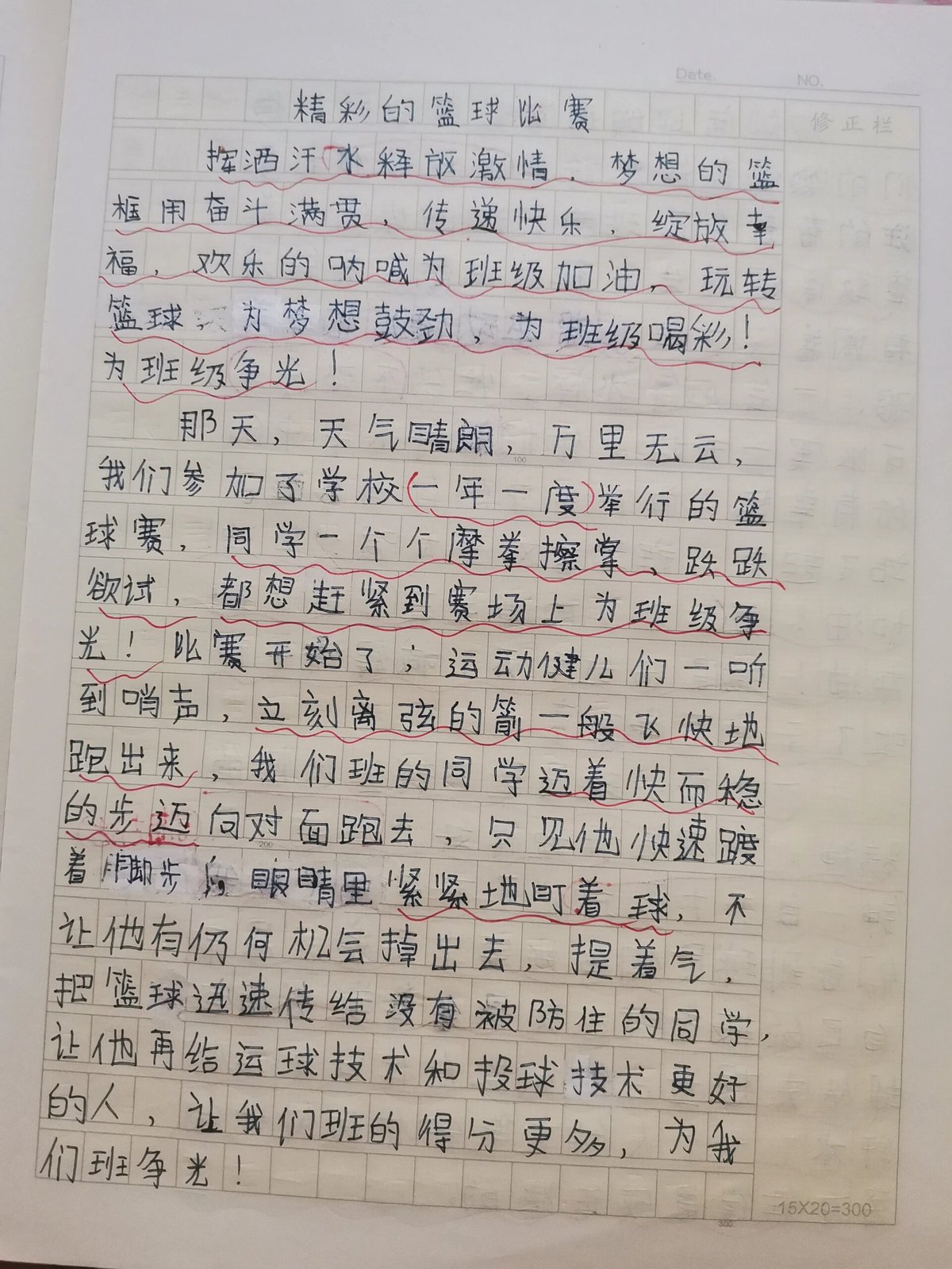 篮球训练心得感悟200字作文